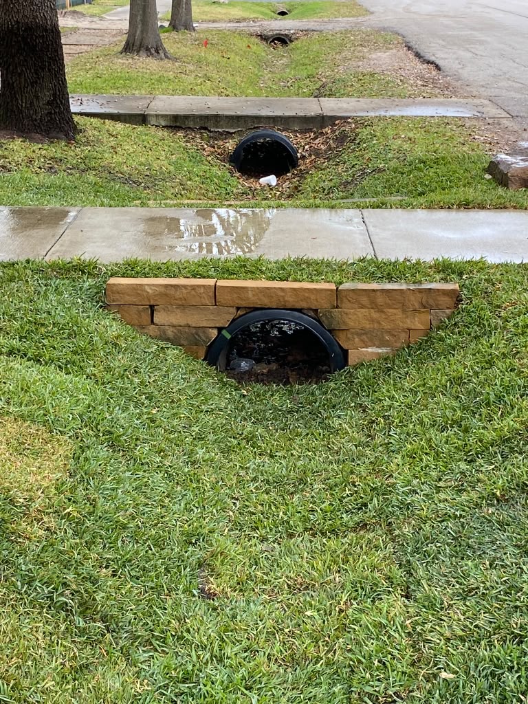 Fresh lawn established with new sod installation